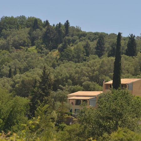 Georgia Apartments&Studios Corfu Glyfada  Habitación foto