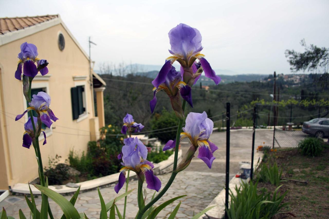 Georgia Apartments&Studios Corfu Glyfada  Exterior foto